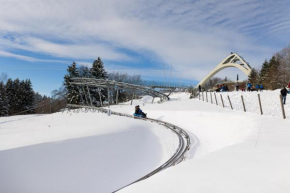 Grönebach A Winterberg